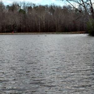 Meet your Posher, Jenny